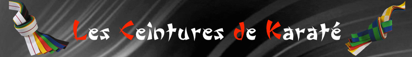 les ceintures de karat